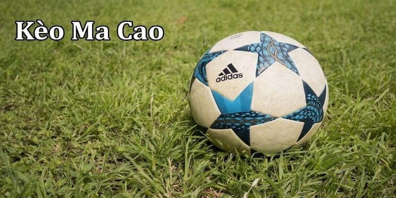Bí quyết thắng khi chơi tỷ lệ cá cược Ma Cao