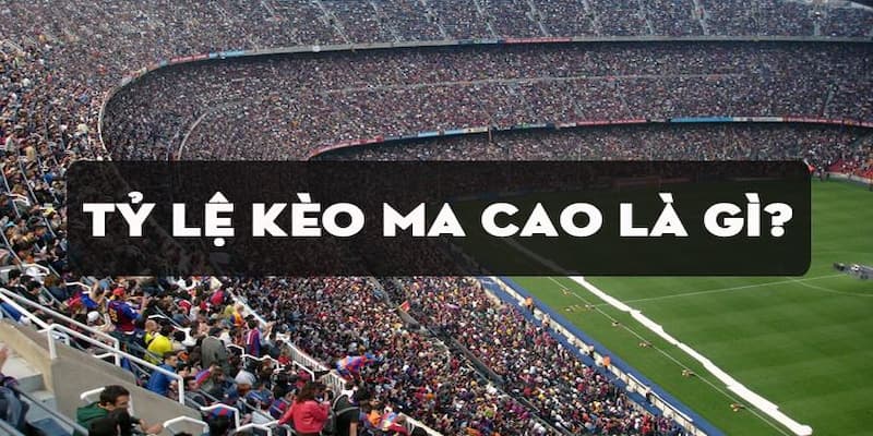 Hiểu đúng về tỷ lệ cá cược Ma Cao