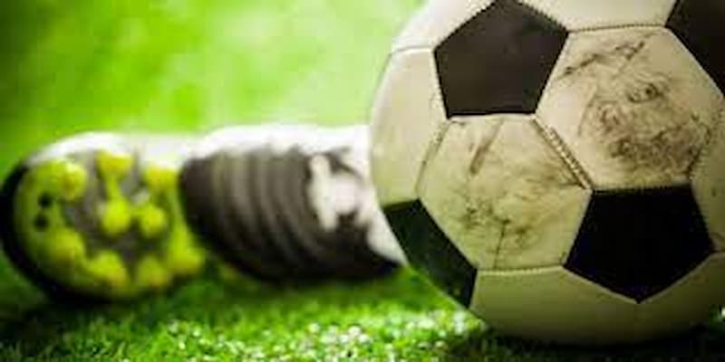 Vai trò của nhà cái uy tín